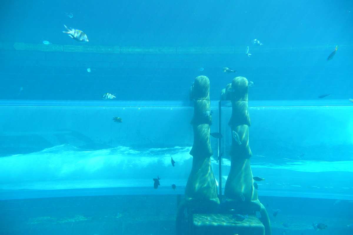 Picture United Arab Emirates Dubai Dubai Aquaventure 2009-01 155 - Transport Dubai Aquaventure