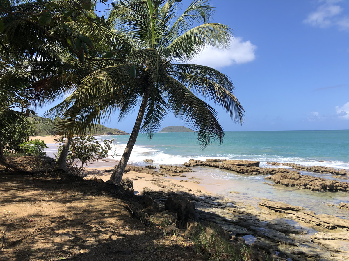 Picture Guadeloupe Clugny Beach 2021-02 12 - Monument Clugny Beach