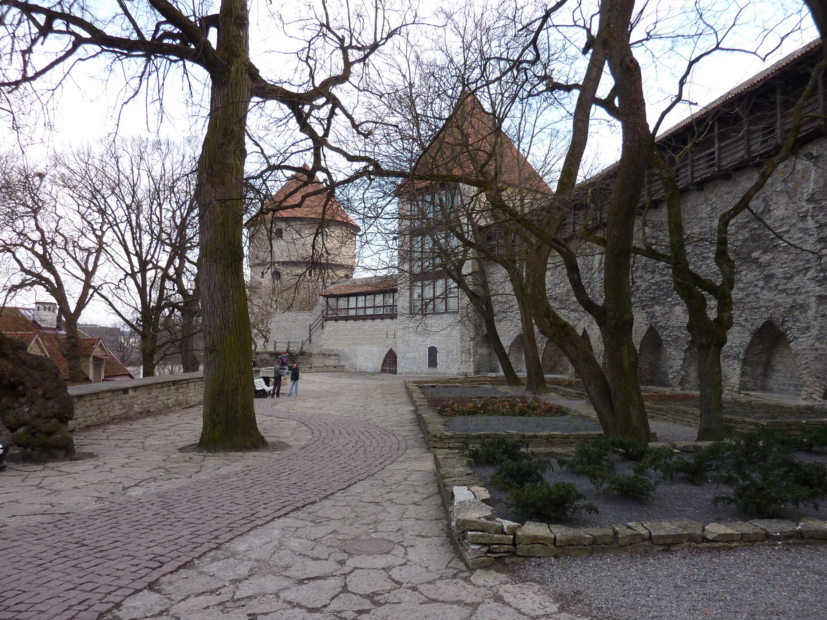 Picture Estonia Tallinn Old Tallinn 2009-04 2 - Weather Old Tallinn