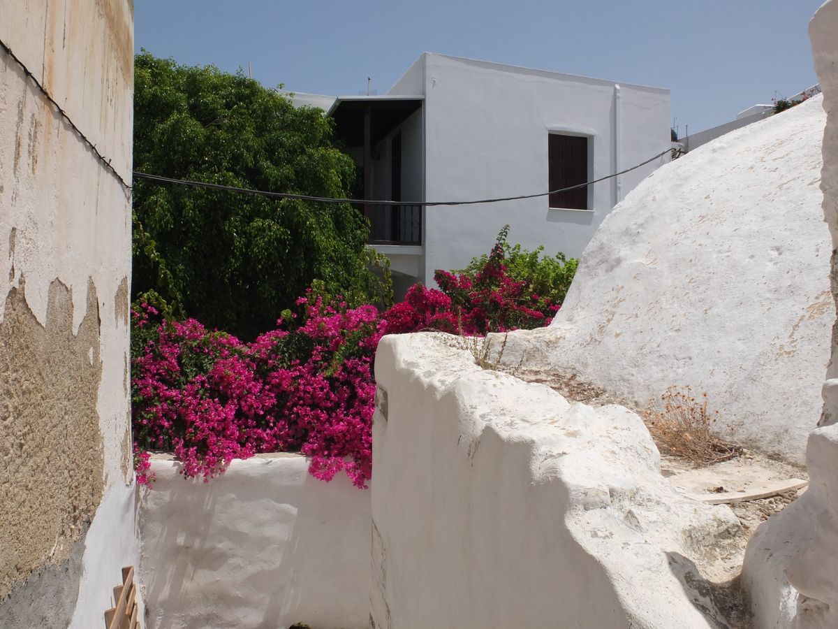 Picture Greece Naxos 2014-07 12 - Summer Naxos