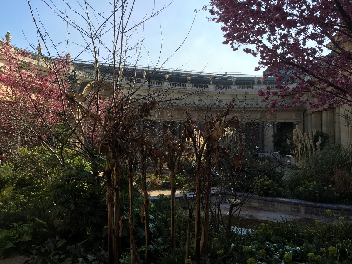 Picture France Paris Petit Palais 2016-03 30 - Restaurant Petit Palais