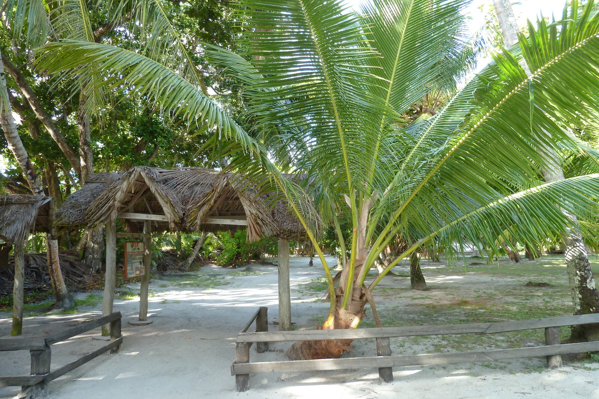 Picture Seychelles Anse Lazio 2011-10 56 - Hot Season Anse Lazio