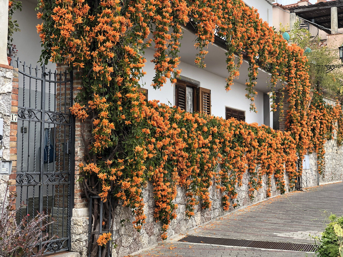 Picture Italy Sicily Taormina 2020-02 96 - Streets Taormina