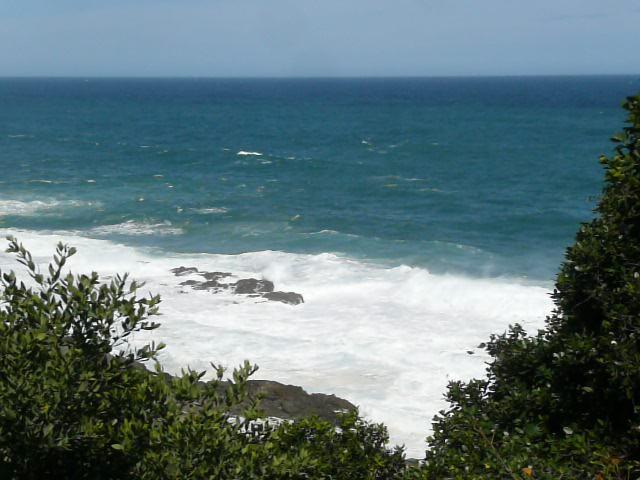 Picture South Africa Tsitsikamma National Park 2008-09 434 - Lands Tsitsikamma National Park