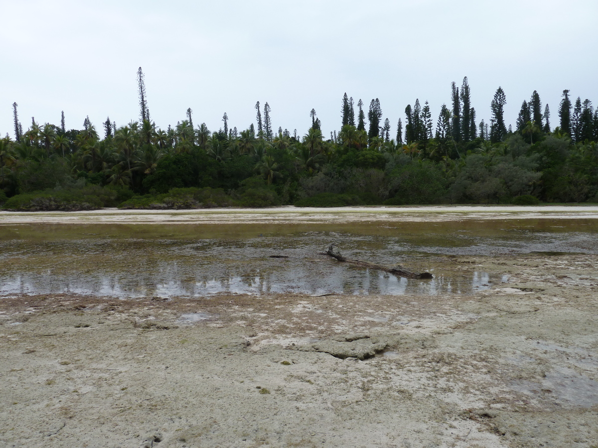 Picture New Caledonia Ile des pins Oro Bay 2010-05 38 - Monuments Oro Bay