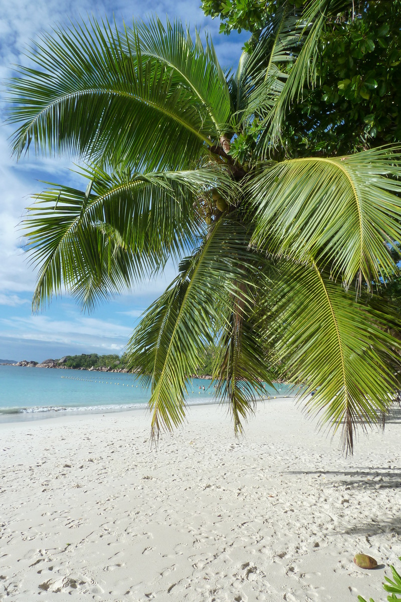 Picture Seychelles Anse Lazio 2011-10 130 - Hotel Pool Anse Lazio