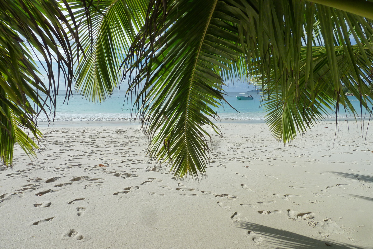 Picture Seychelles Anse Lazio 2011-10 124 - Cost Anse Lazio