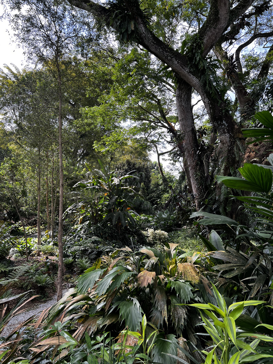 Picture Singapore Singapore Botanic Gardens 2023-01 97 - Monument Singapore Botanic Gardens