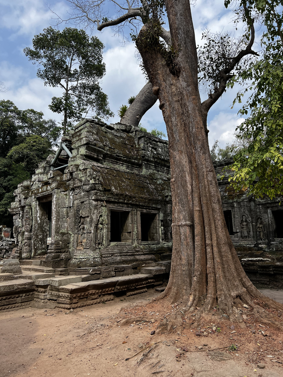 Picture Cambodia Siem Reap Ta Prohm 2023-01 134 - Monument Ta Prohm