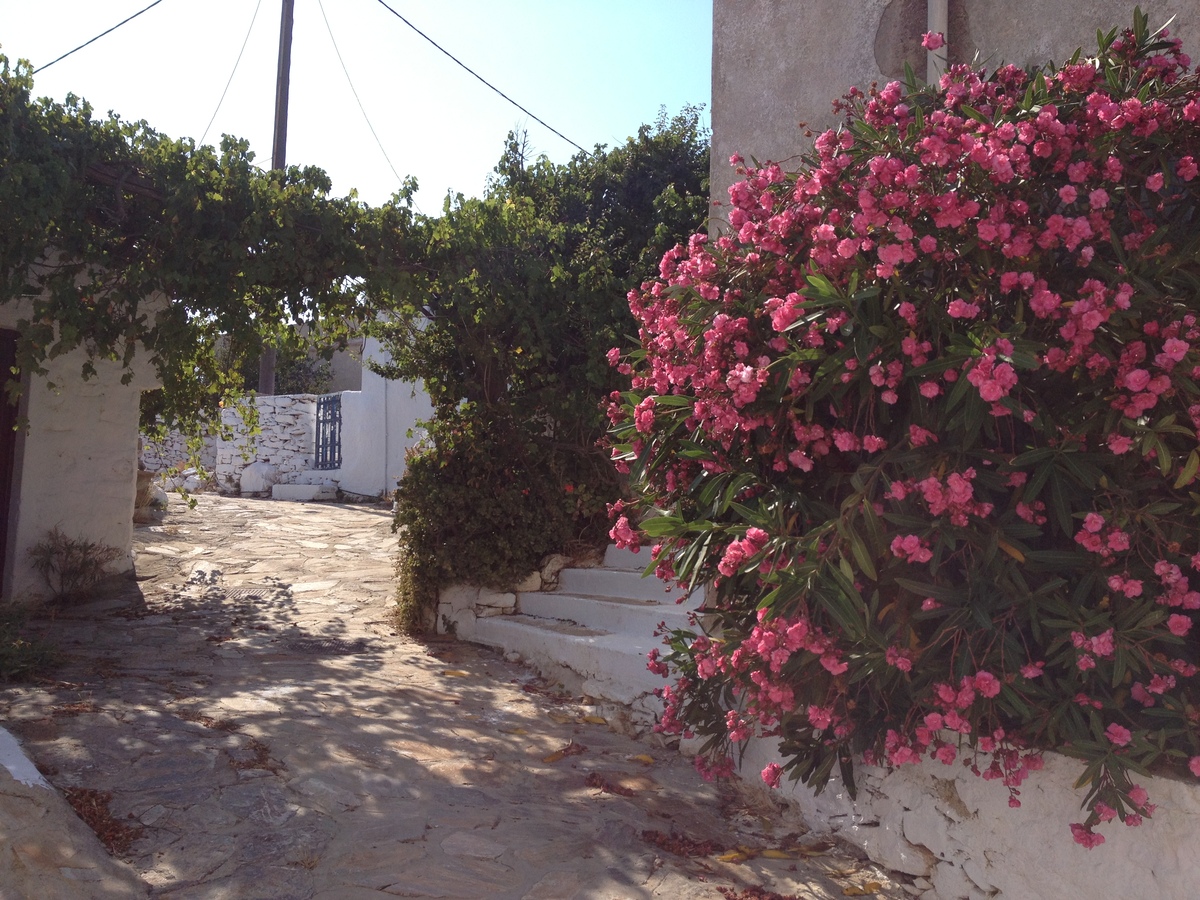 Picture Greece Amorgos 2014-07 344 - Sunrise Amorgos