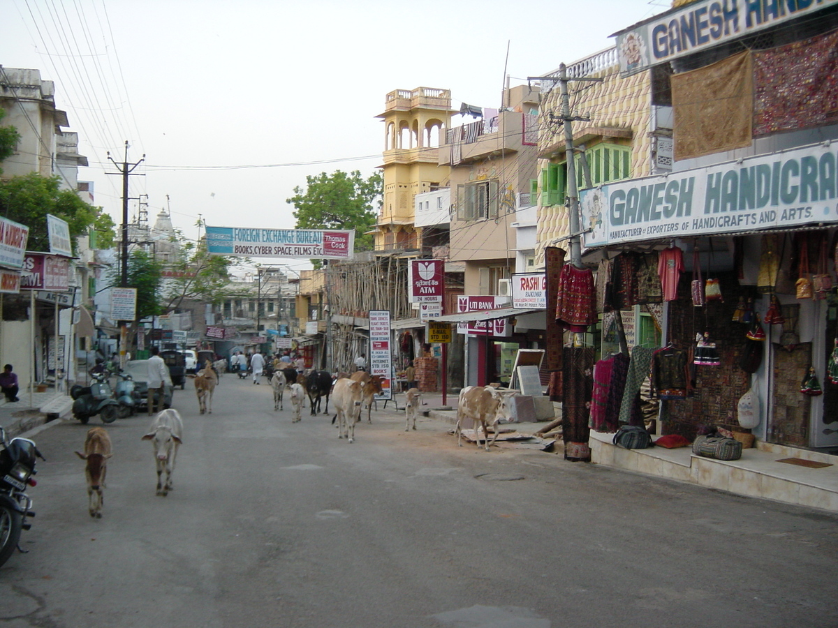 Picture India Udaipur 2003-05 16 - Winter Udaipur