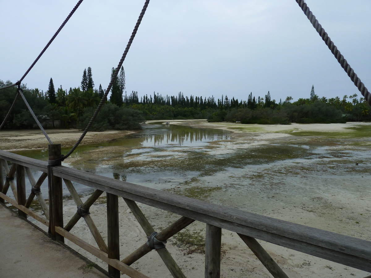 Picture New Caledonia Ile des pins Oro Bay 2010-05 84 - Rental Oro Bay