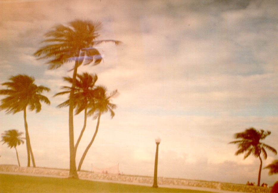 Picture United States Miami Beach 1991-11 6 - Monument Miami Beach