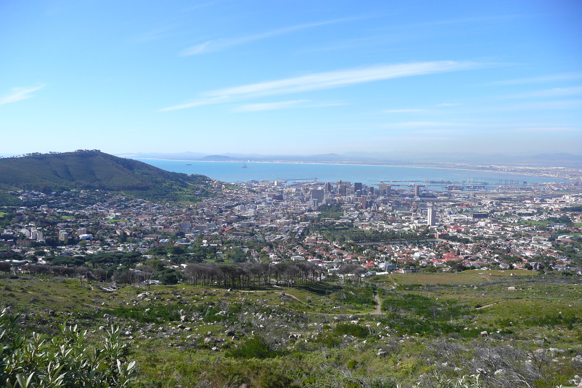 Picture South Africa Cape Town Table Mountain 2008-09 75 - Accomodation Table Mountain