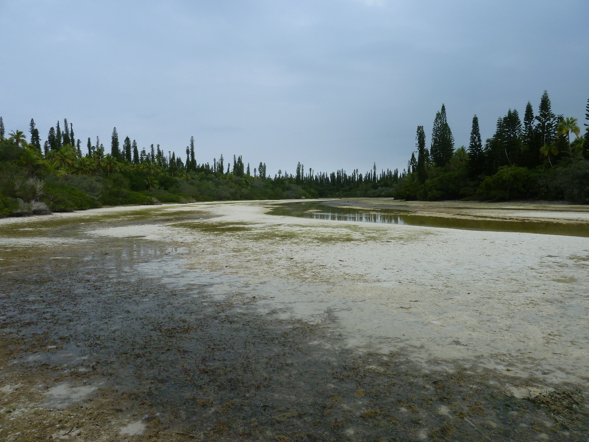 Picture New Caledonia Ile des pins Oro Bay 2010-05 14 - Lake Oro Bay