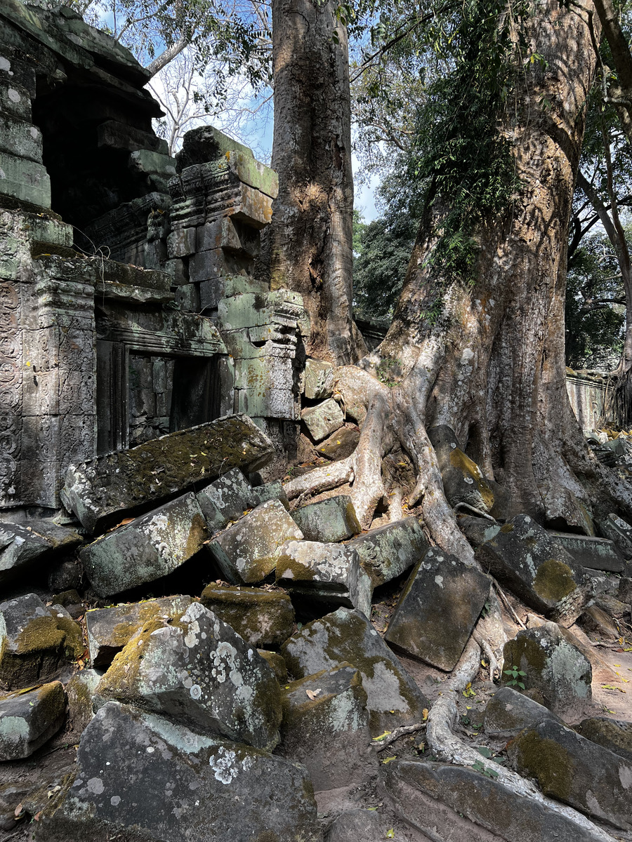 Picture Cambodia Siem Reap Ta Prohm 2023-01 98 - Monument Ta Prohm