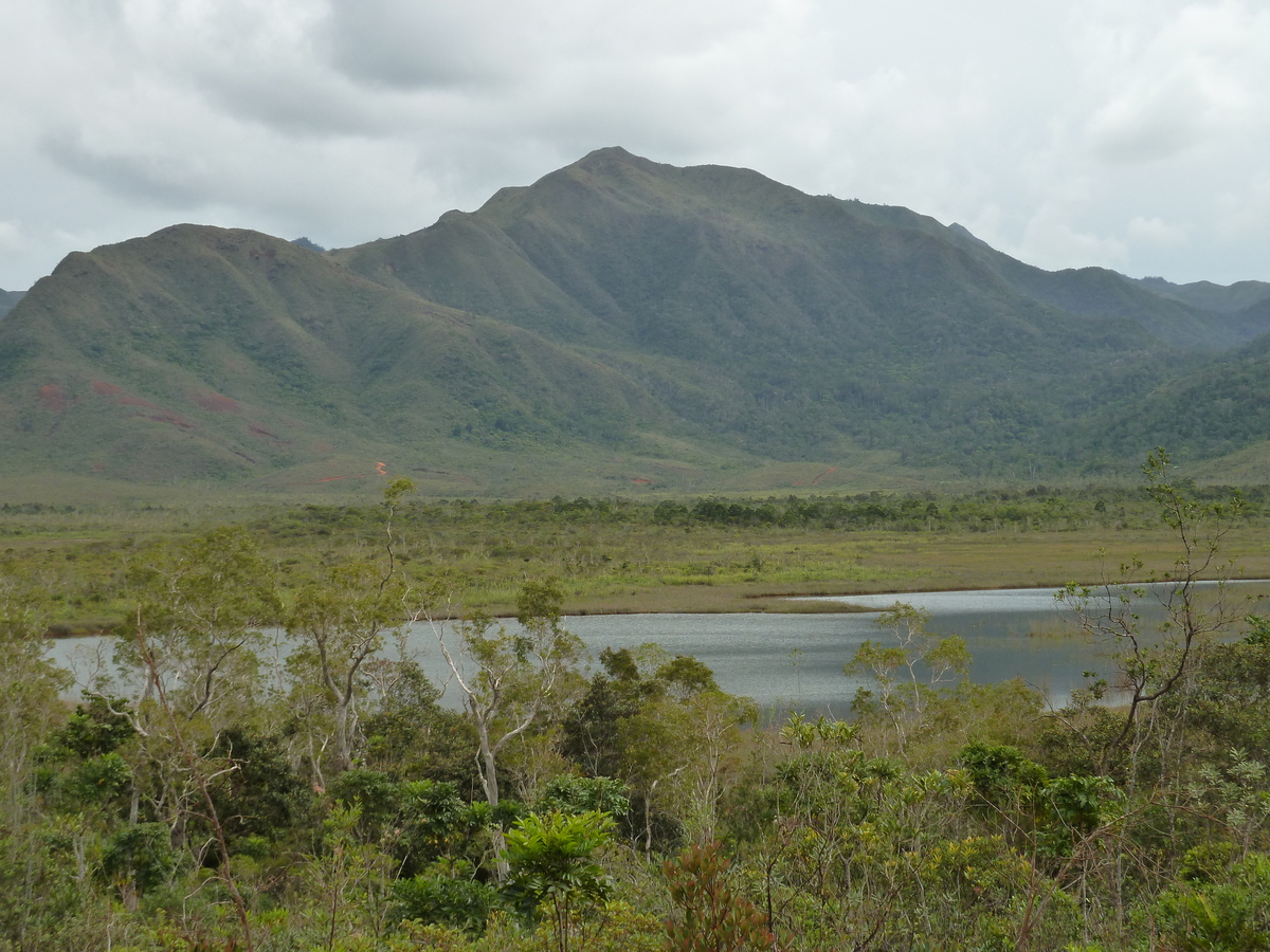 Picture New Caledonia Parc de la Riviere Bleue 2010-05 37 - Lake Parc de la Riviere Bleue