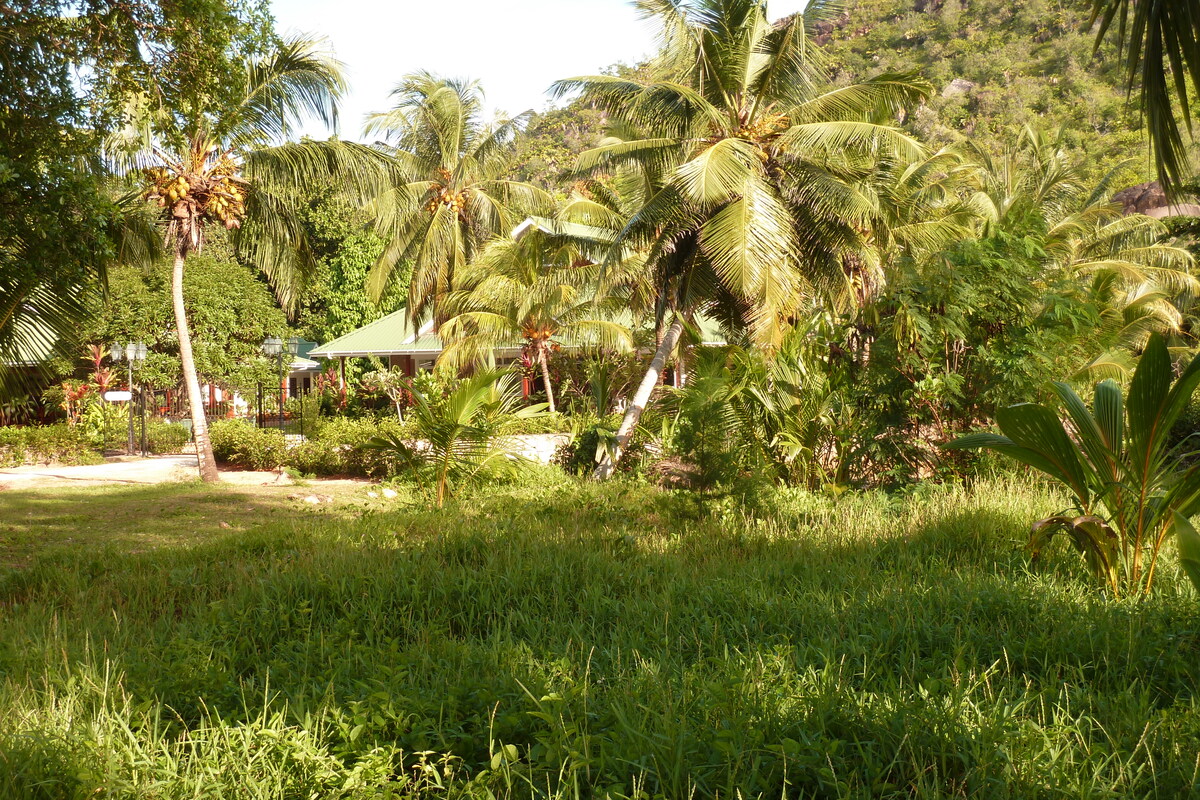 Picture Seychelles Anse Lazio 2011-10 106 - Price Anse Lazio