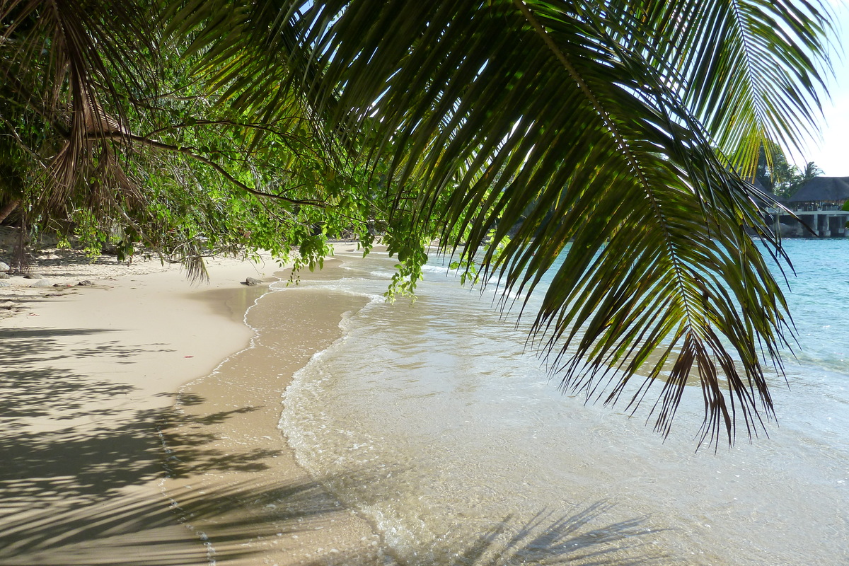 Picture Seychelles Mahe 2011-10 207 - Night Mahe