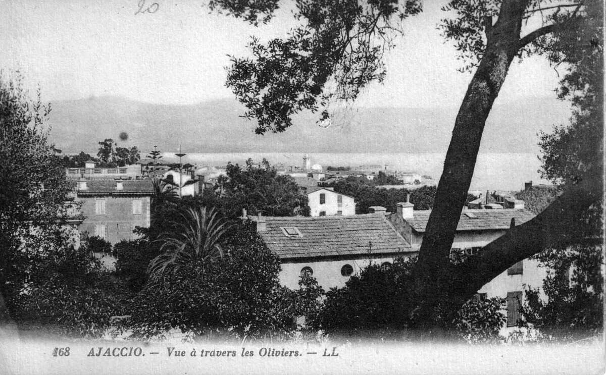 Picture France Corsica Old Postcards 1900-01 337 - Monument Old Postcards