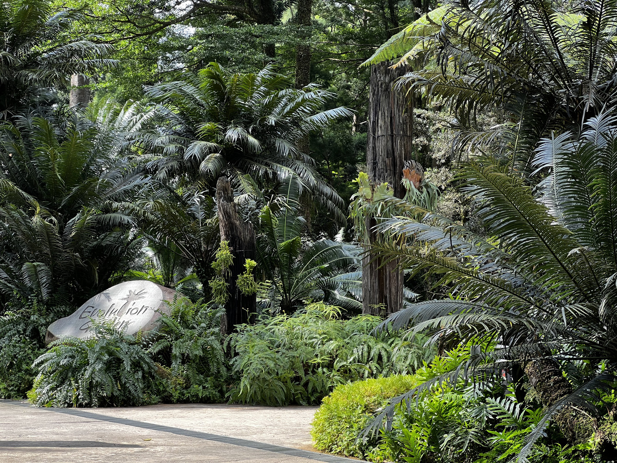 Picture Singapore Singapore Botanic Gardens 2023-01 55 - Walking Street Singapore Botanic Gardens