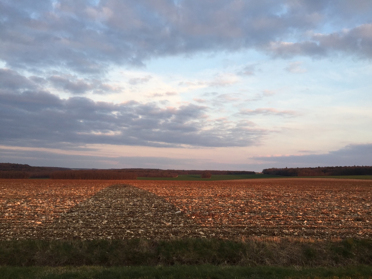 Picture France Tonnerre 2016-02 27 - Hot Season Tonnerre