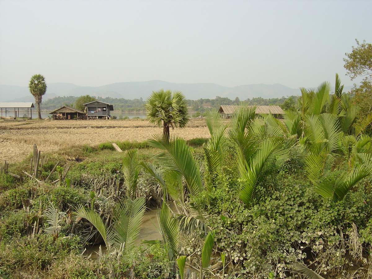 Picture Myanmar Dawei (TAVOY) 2005-01 36 - Weather Dawei (TAVOY)