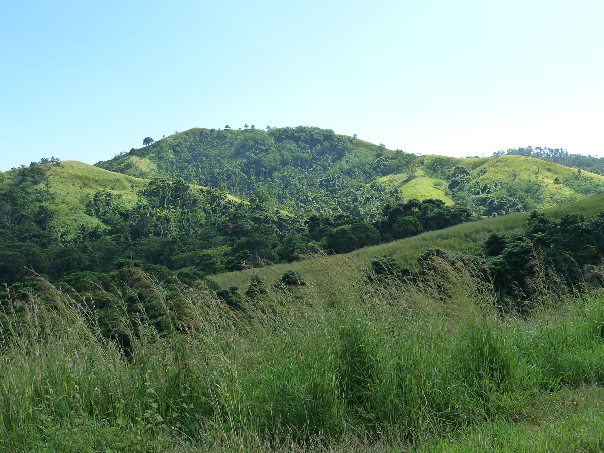 Picture Fiji Sigatoka river 2010-05 80 - Lands Sigatoka river