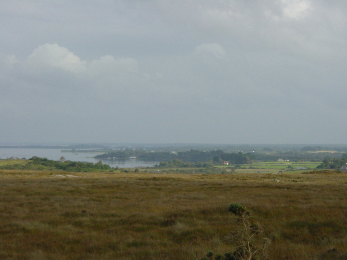 Picture Ireland Connemara 2003-09 63 - Summer Connemara