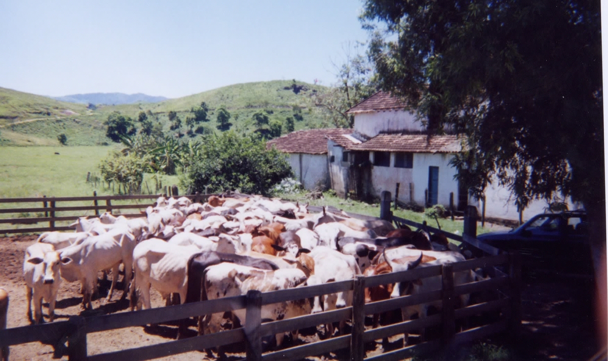 Picture Brasil Parati 1999-01 1 - Resorts Parati