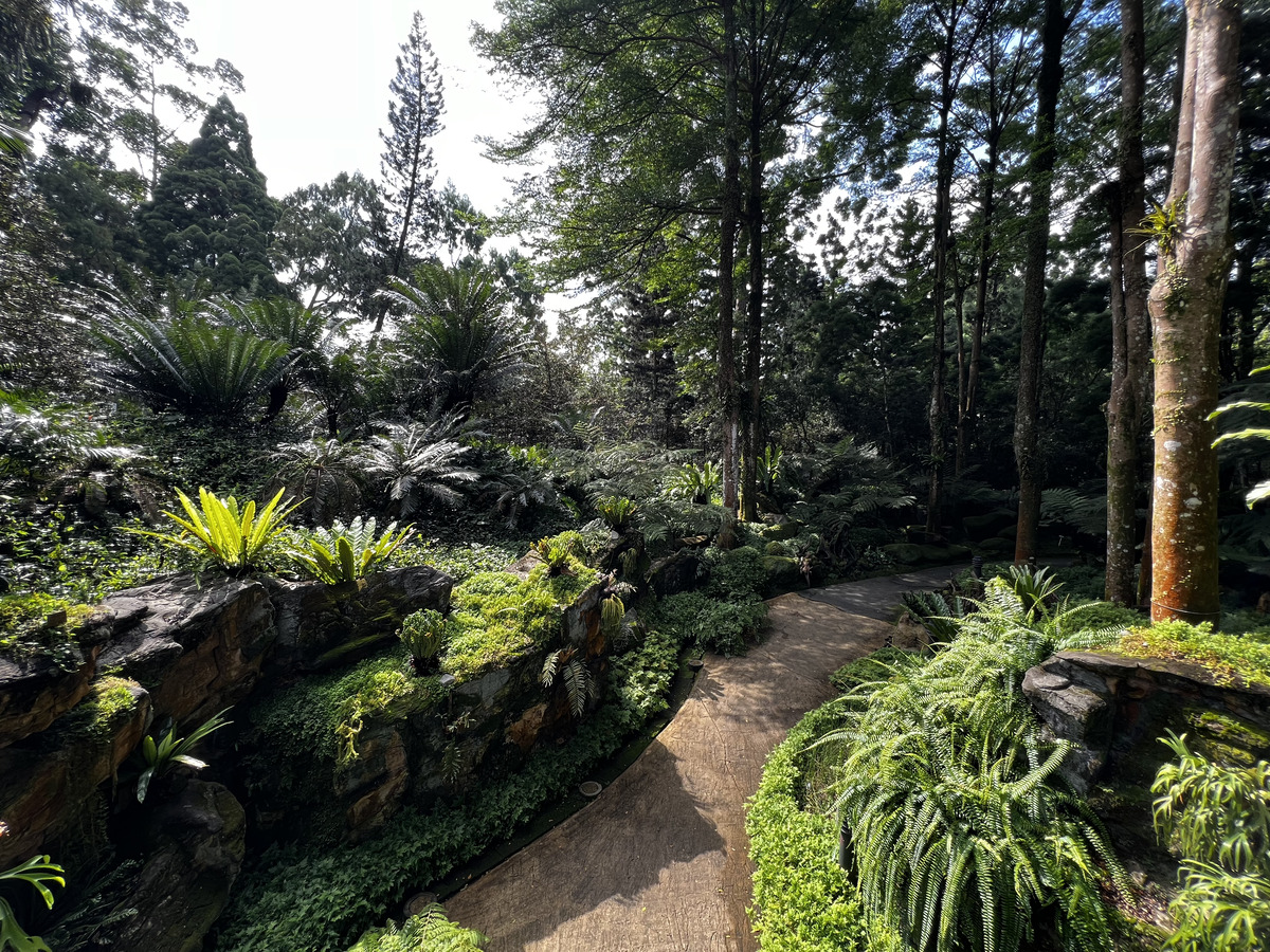 Picture Singapore Singapore Botanic Gardens 2023-01 89 - Waterfall Singapore Botanic Gardens