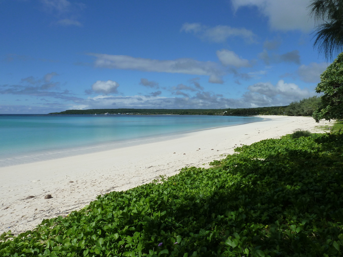 Picture New Caledonia 2010-05 46 - Savings New Caledonia