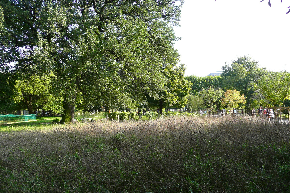 Picture France Paris Jardin des Plantes 2007-08 145 - Rentals Jardin des Plantes