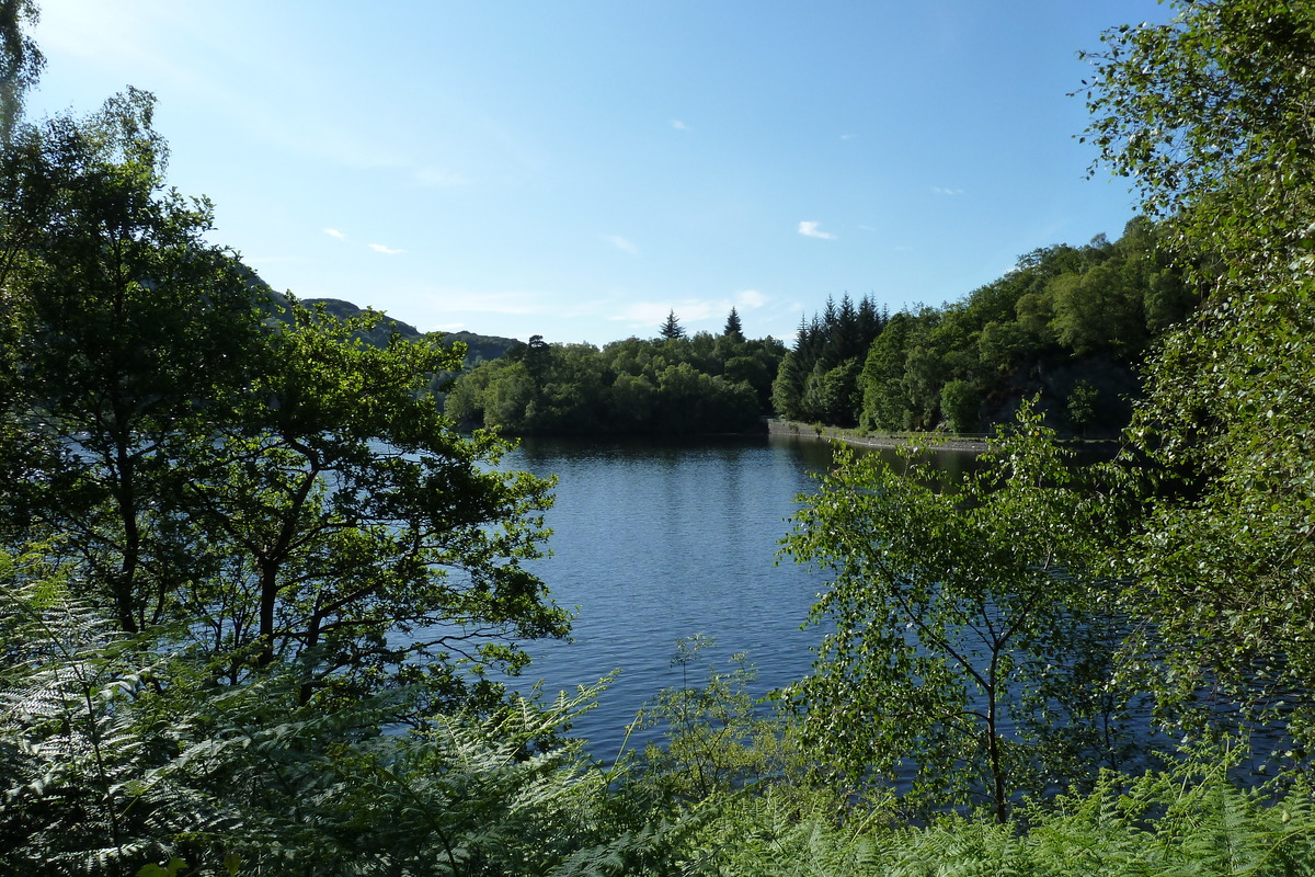 Picture United Kingdom The Trossachs 2011-07 46 - Street The Trossachs