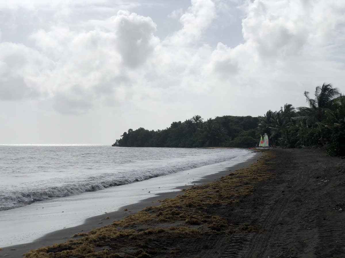 Picture Guadeloupe Viard Beach 2021-02 5 - Hotels Viard Beach