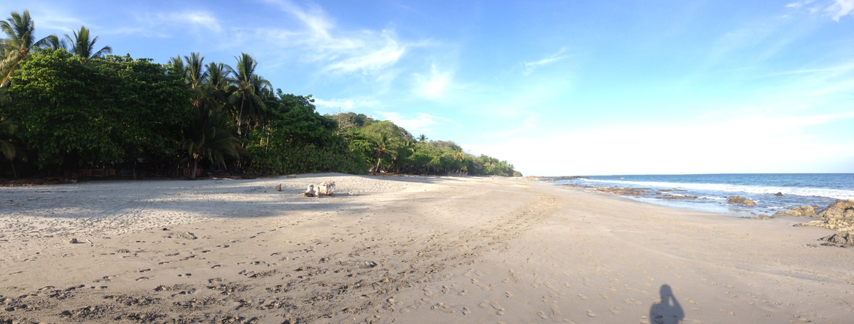 Picture Costa Rica Montezuma 2015-03 393 - Rain Season Montezuma