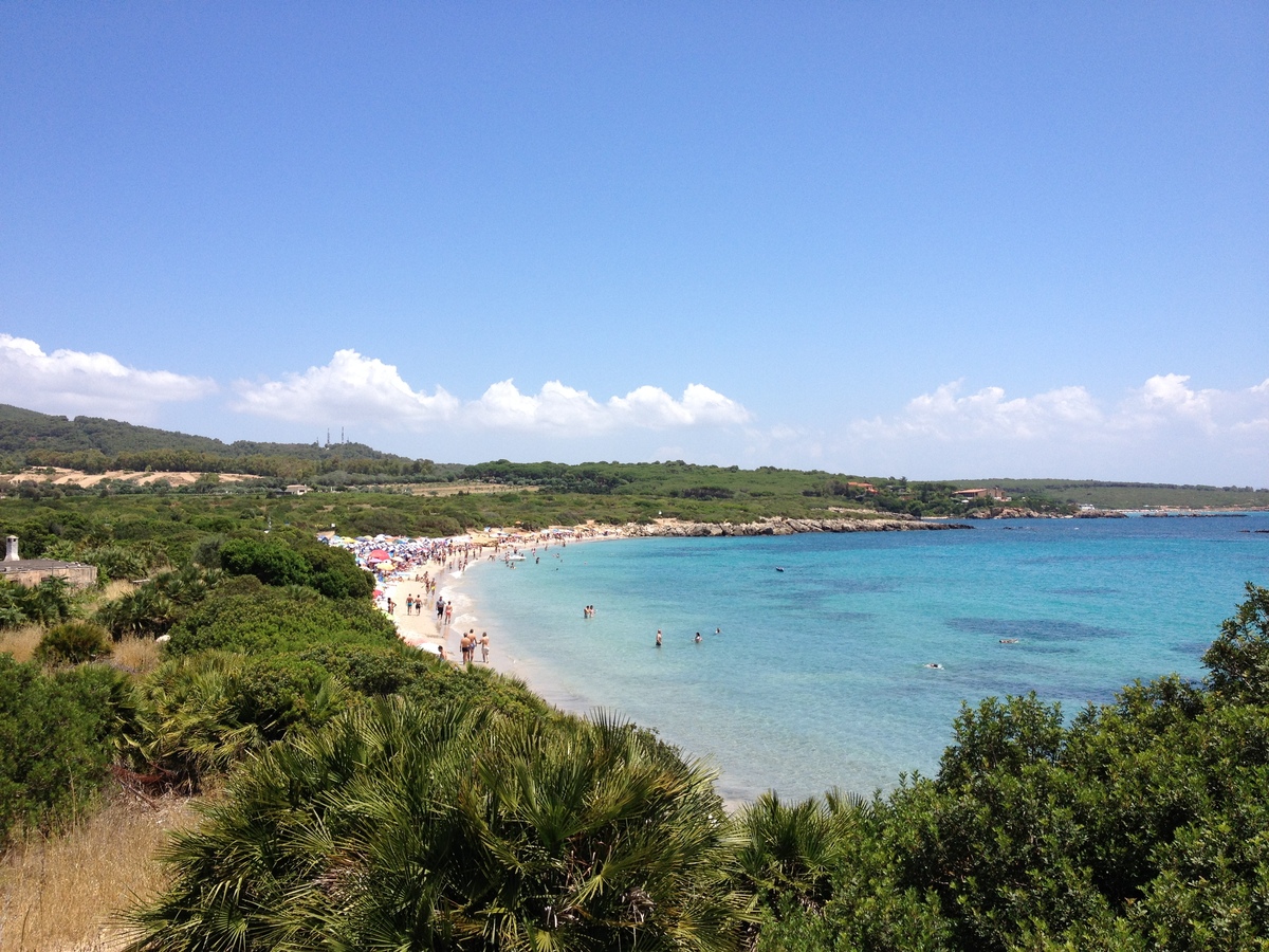 Picture Italy Sardinia Alghero 2015-06 89 - Summer Alghero