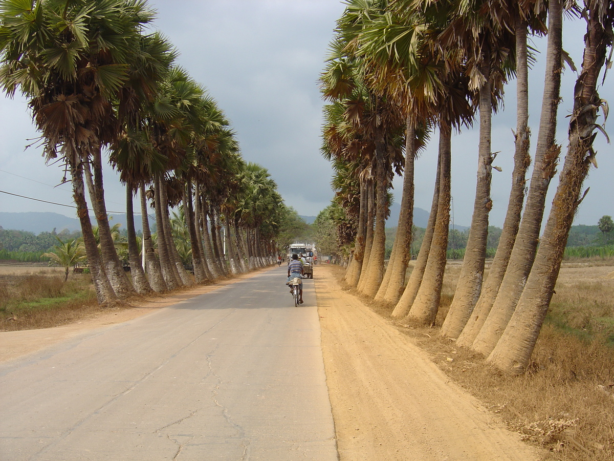 Picture Myanmar Road from Dawei to Maungmagan beach 2005-01 27 - Hotel Pool Road from Dawei to Maungmagan beach