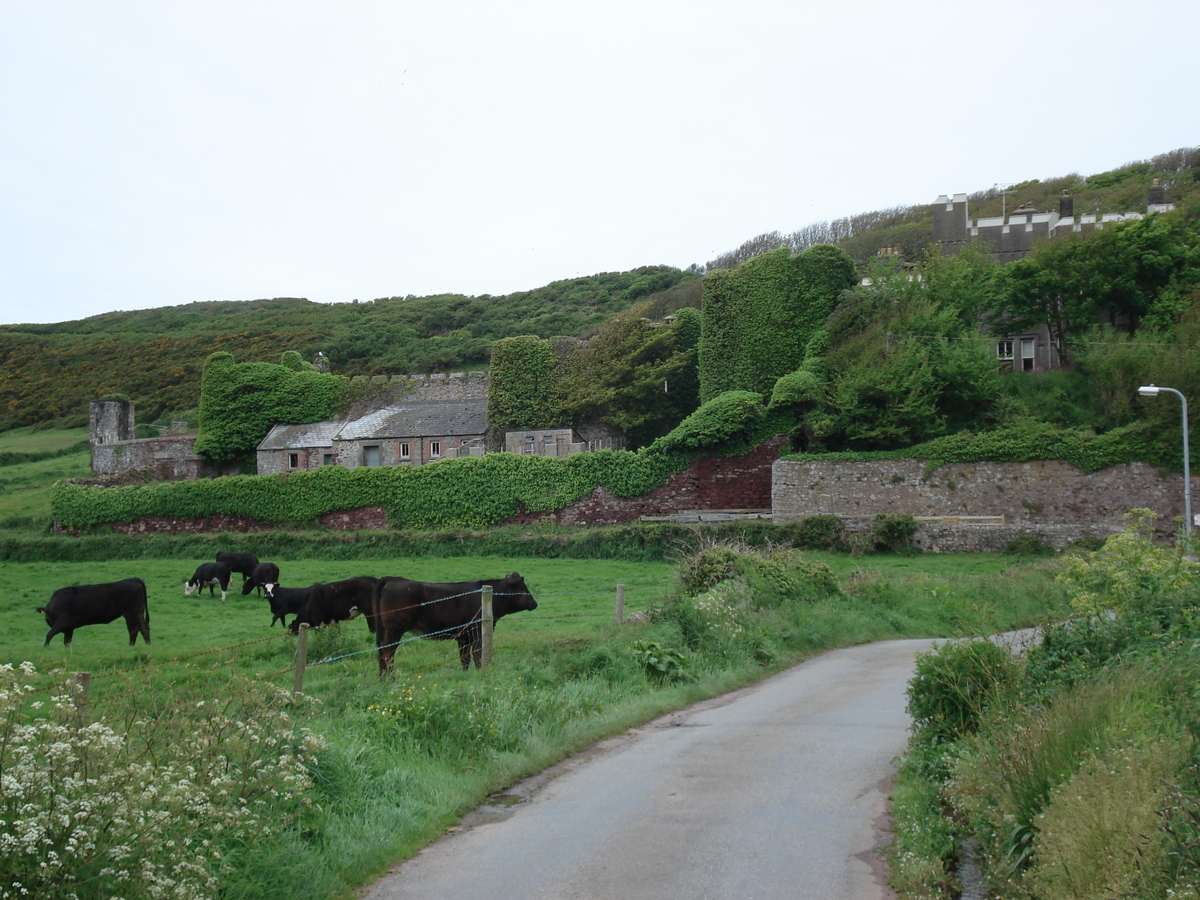 Picture United Kingdom Pembrokeshire Dale 2006-05 3 - Rain Season Dale