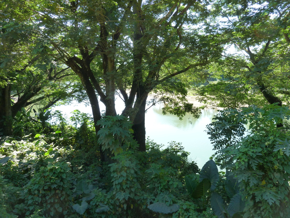 Picture Fiji Sigatoka river 2010-05 86 - Rooms Sigatoka river