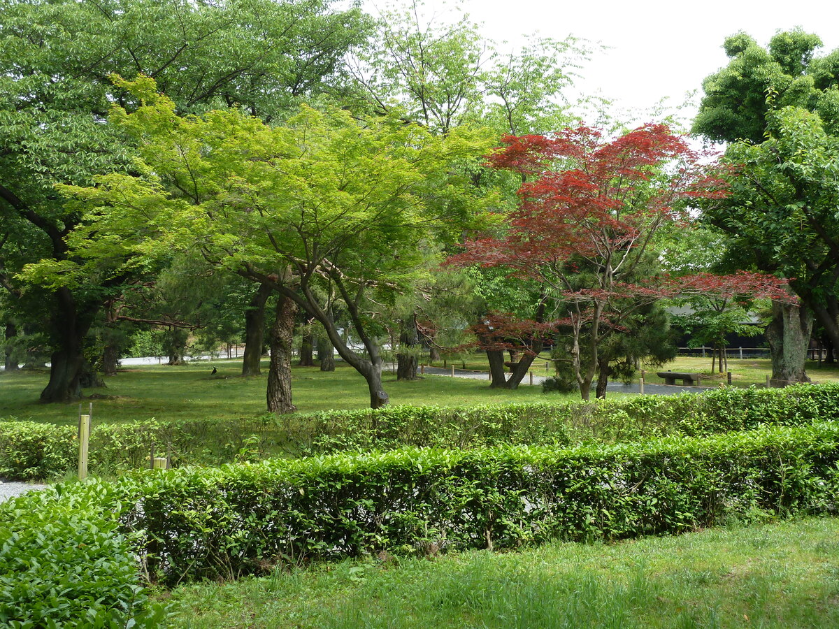 Picture Japan Kyoto Nijo Castle 2010-06 39 - Weather Nijo Castle