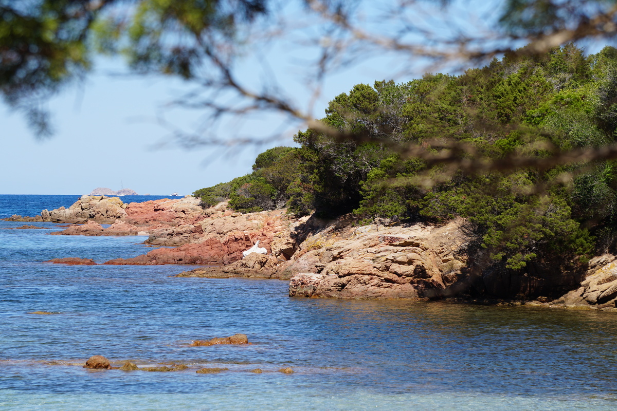 Picture France Corsica Rondinara Beach 2017-07 28 - Monuments Rondinara Beach