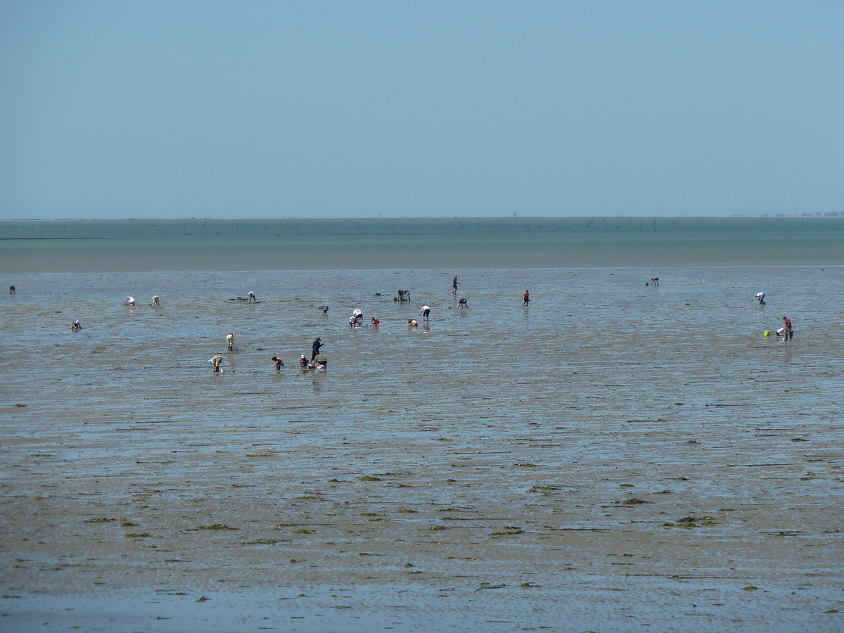 Picture France Noirmoutier 2010-07 32 - Transport Noirmoutier