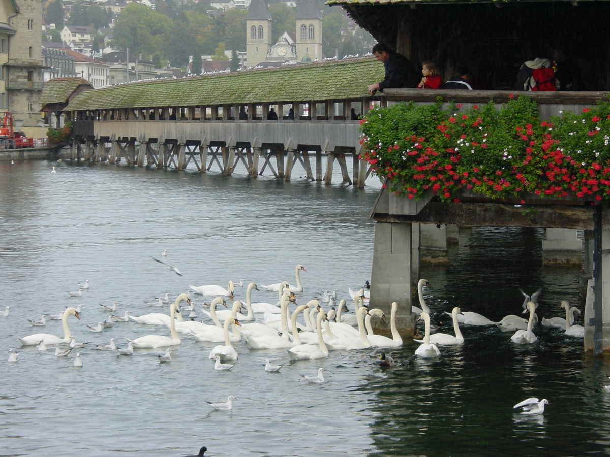 Picture Swiss Lucerne 2001-10 4 - City Sights Lucerne