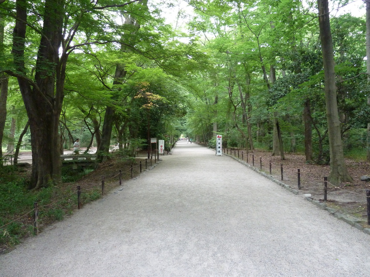 Picture Japan Kyoto Kamomioya Shrine(Shimogamo Shrine) 2010-06 31 - Weather Kamomioya Shrine(Shimogamo Shrine)