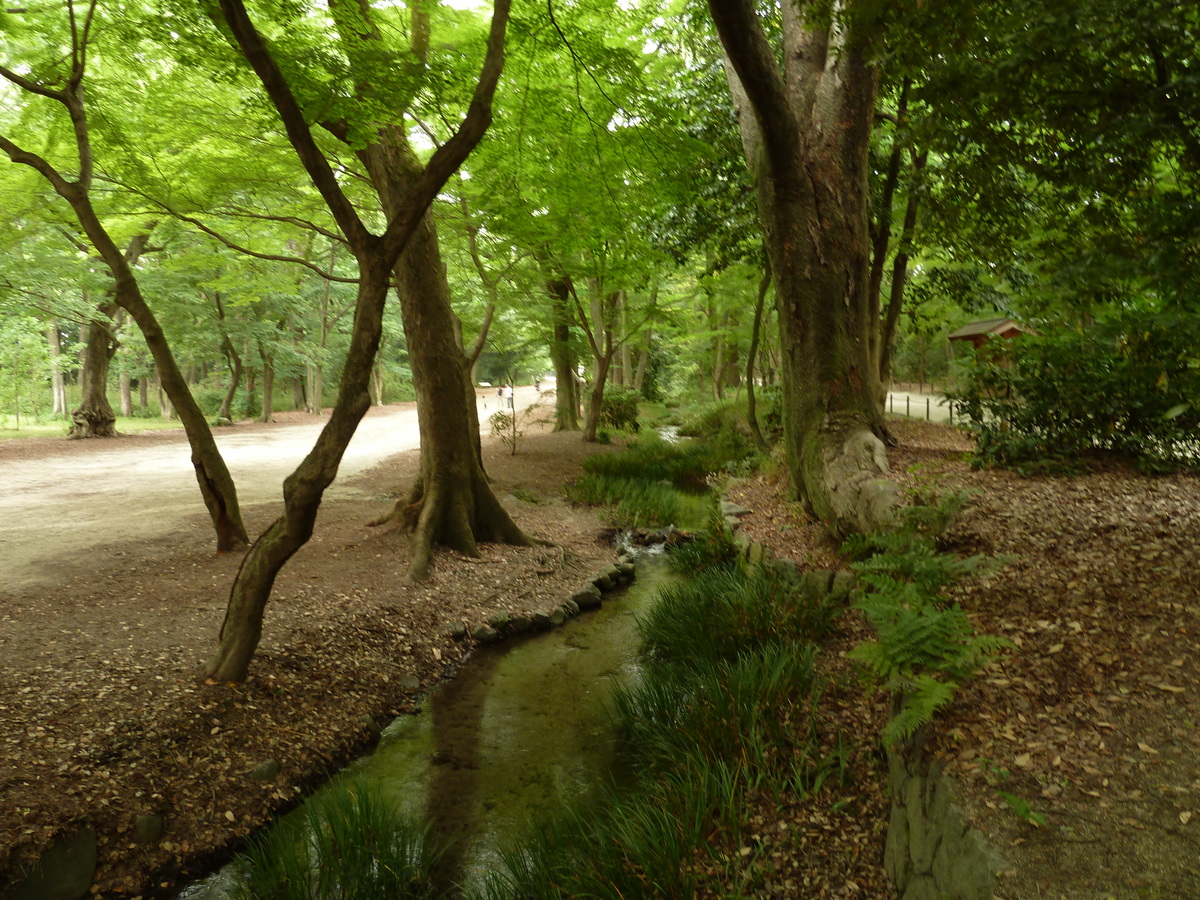 Picture Japan Kyoto Kamomioya Shrine(Shimogamo Shrine) 2010-06 17 - Lands Kamomioya Shrine(Shimogamo Shrine)