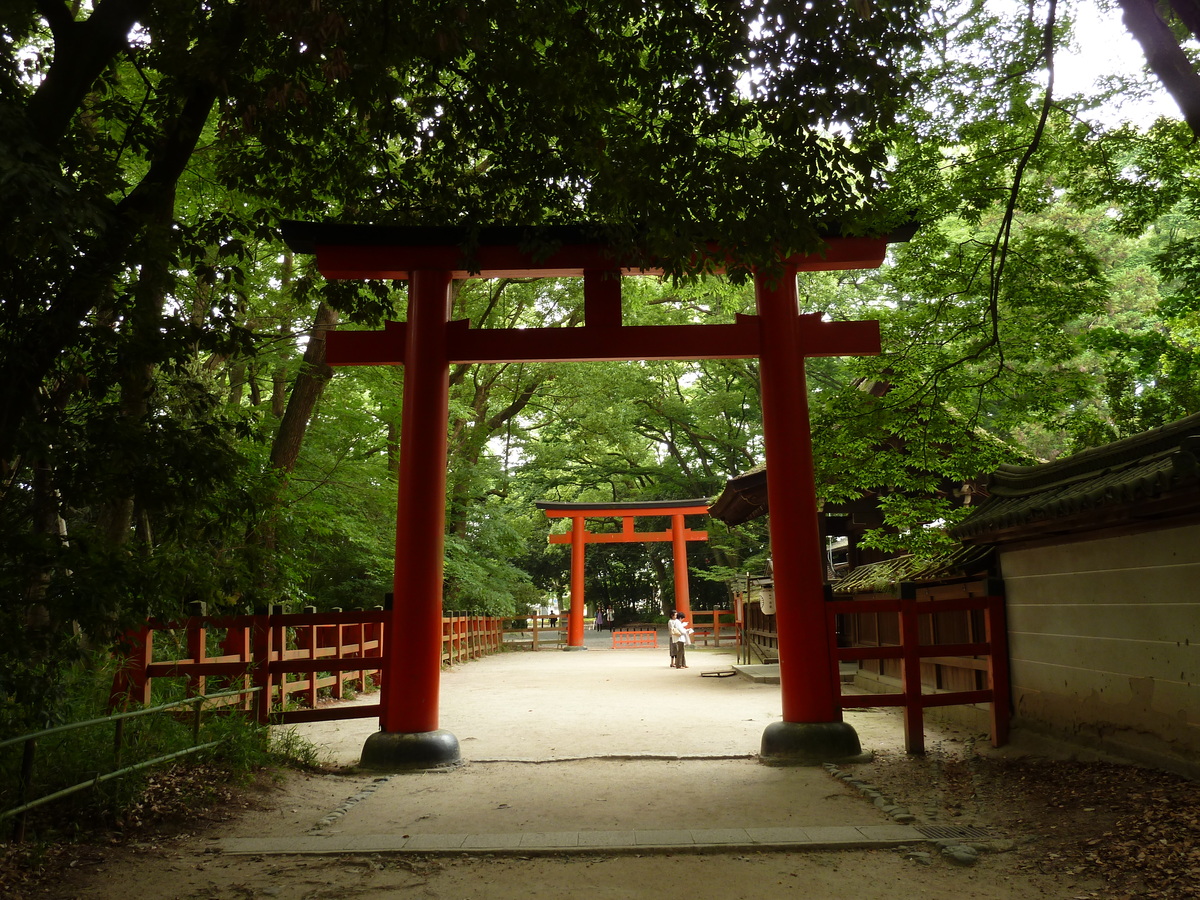 Picture Japan Kyoto Kamomioya Shrine(Shimogamo Shrine) 2010-06 16 - Spring Kamomioya Shrine(Shimogamo Shrine)