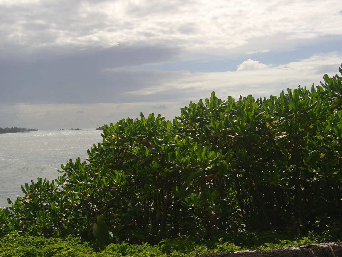 Picture Polynesia Tahiti 2006-04 7 - To see Tahiti