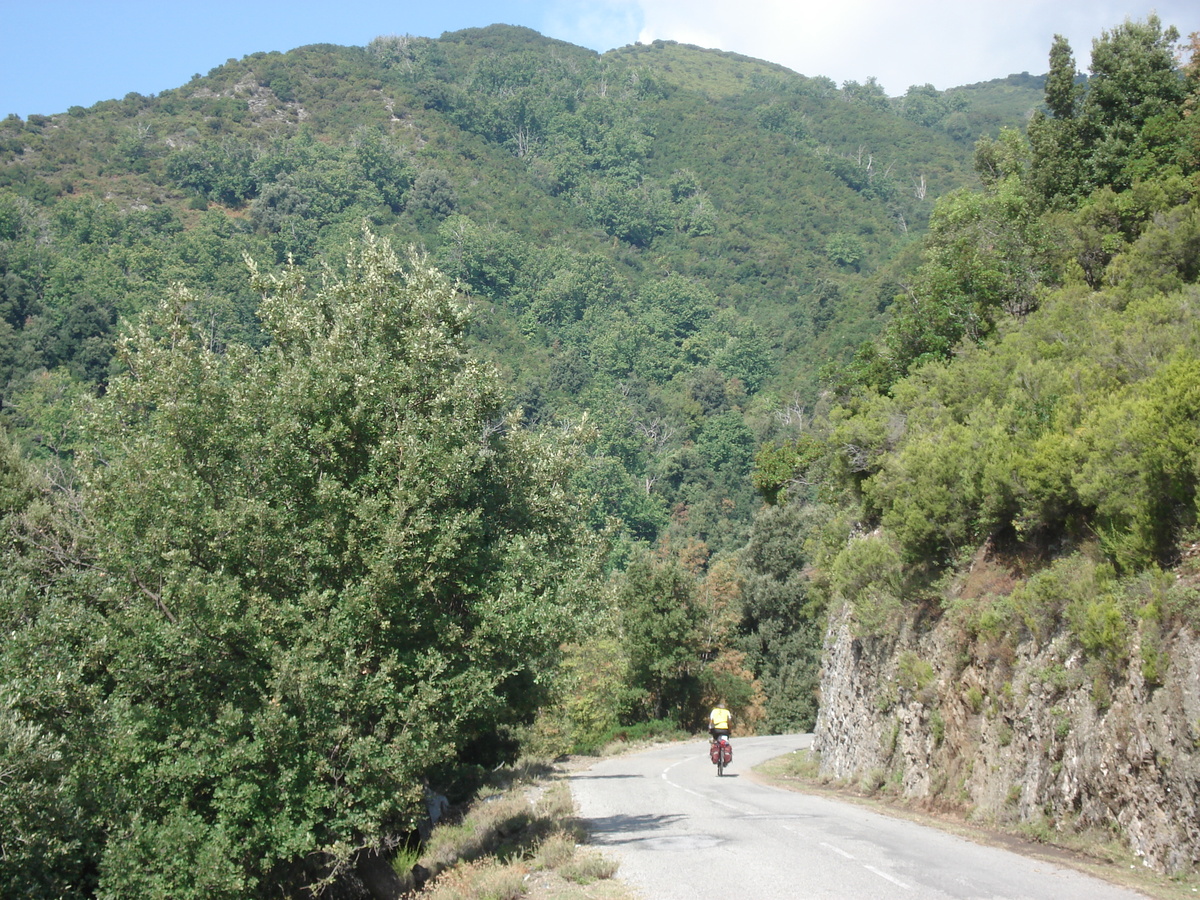 Picture France Corsica Valle d'alesani 2006-09 87 - To see Valle d'alesani