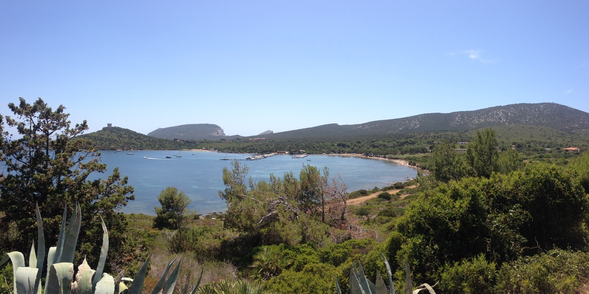 Picture Italy Sardinia Porto Conte Regional Natural Park 2015-06 25 - Price Porto Conte Regional Natural Park